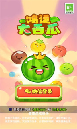 鸿运大西瓜 第2张图