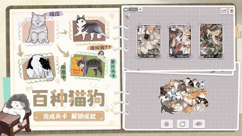 挤在一起的猫猫 第2张图