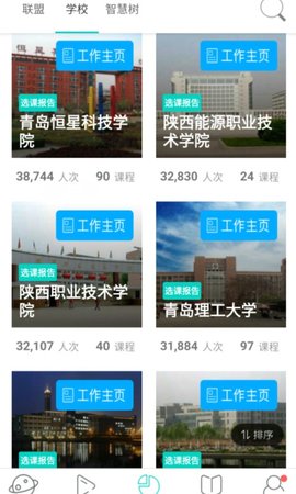 树下APP