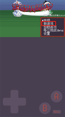 宝可梦肉鸽妖梦 第2张图