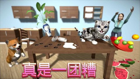 猫咪日常模拟 第1张图