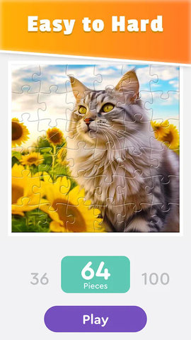 智力拼图玩具(JigsawPuzzle)游戏