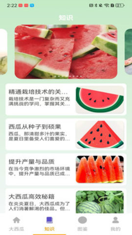 就要大西瓜游戏