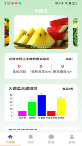 就要大西瓜游戏