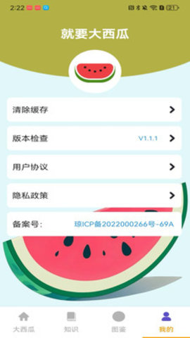 就要大西瓜游戏
