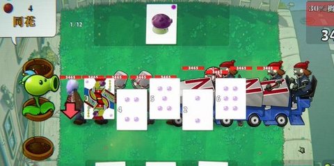 小丑牌植物大战僵尸(PVZCard) 第1张图