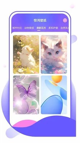 惊鸿壁纸APP