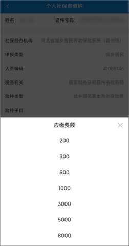 河北省电子税务局移动端 第7张图