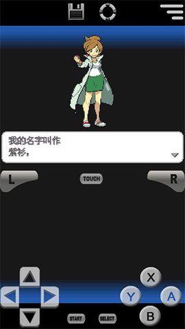 口袋妖怪黑2 第1张图