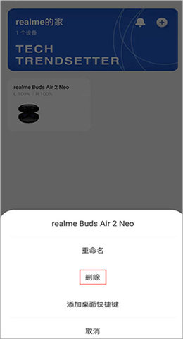 realmelink 第5张图