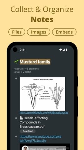 workflowy专业版APP