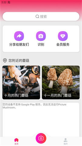 蘑菇识别别 第3张图