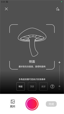 蘑菇识别别 第2张图