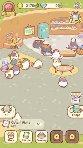 烹饪猫(Cooking Cat) 第1张图