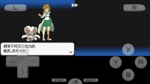 口袋妖怪黑2中文版 第13张图