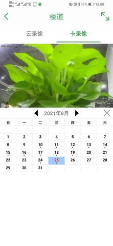 Seetong最新版本 第2张图