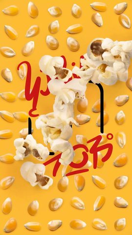 绽放之歌 第2张图