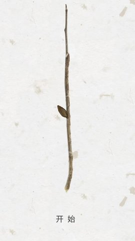 绽放之歌游戏