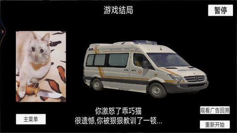猫meme搞怪冒险游戏