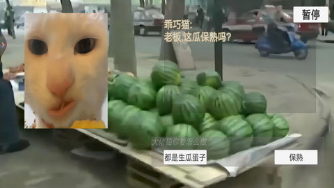 猫meme搞怪冒险游戏