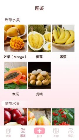 水果王国APP