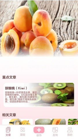水果王国 第3张图