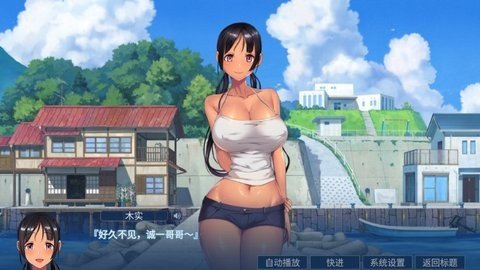 小岛有点不正常游戏
