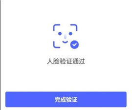 海南e登记app 第4张图