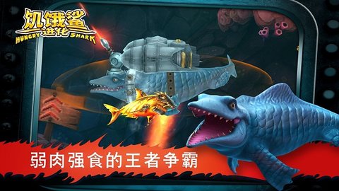 饥饿鲨进化国际版(Hungry Shark)游戏