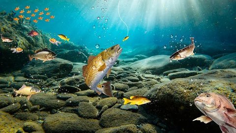 FishingGames 第3张图