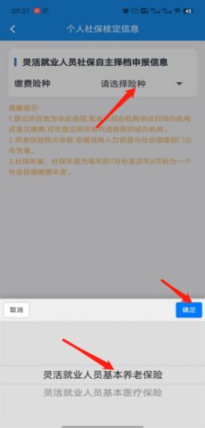 楚税通社保缴费 第4张图
