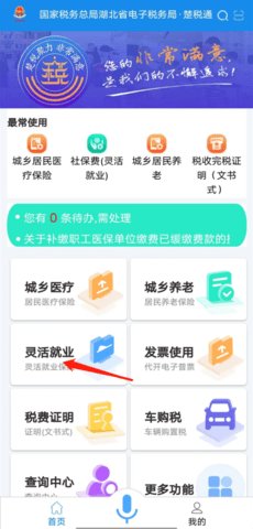 楚税通社保缴费 第1张图