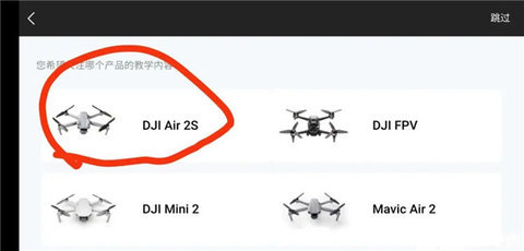 djivirtualflight模拟器 第2张图