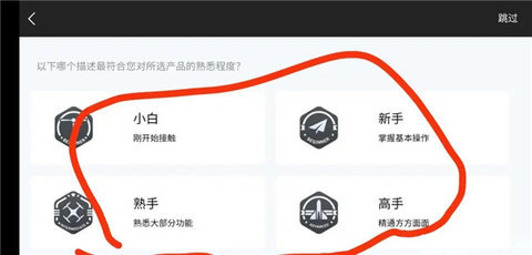 djivirtualflight模拟器 第3张图