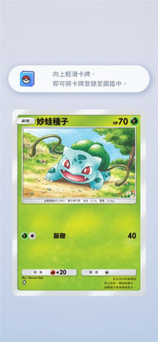 pokemon tcg pocket游戏