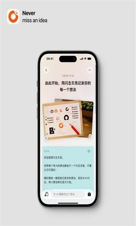 闪念贝壳 第3张图