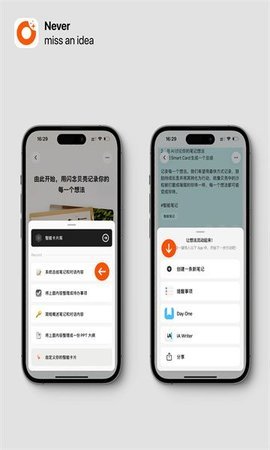闪念贝壳 第4张图
