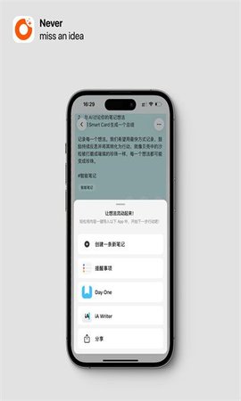 闪念贝壳 第1张图