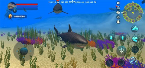 巨齿鲨模拟器(Megalodon Simulator) 第5张图