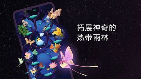 彩翼之星夜 第2张图