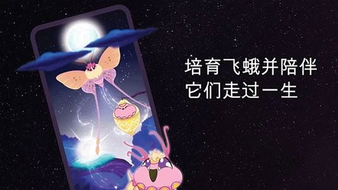 彩翼之星夜游戏