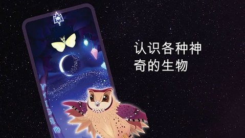 彩翼之星夜游戏