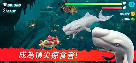 饥饿的鲨鱼进化 第4张图