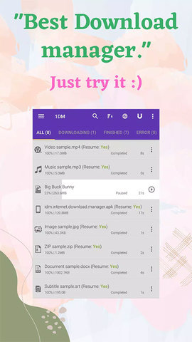 IDM下载器appAPP