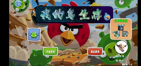 我的鸟生存游戏
