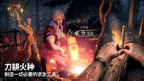 荒原曙光游戏