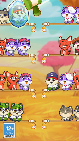 猫猫对对碰 第1张图
