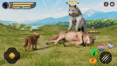 野狼家族(Wolf Family) 第3张图