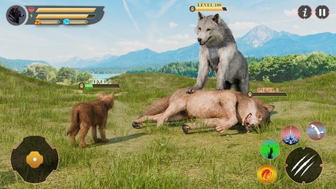 野狼家族(Wolf Family)游戏