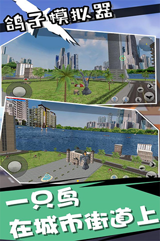 鸽子模拟器中文版游戏